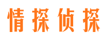 定安市婚姻出轨调查